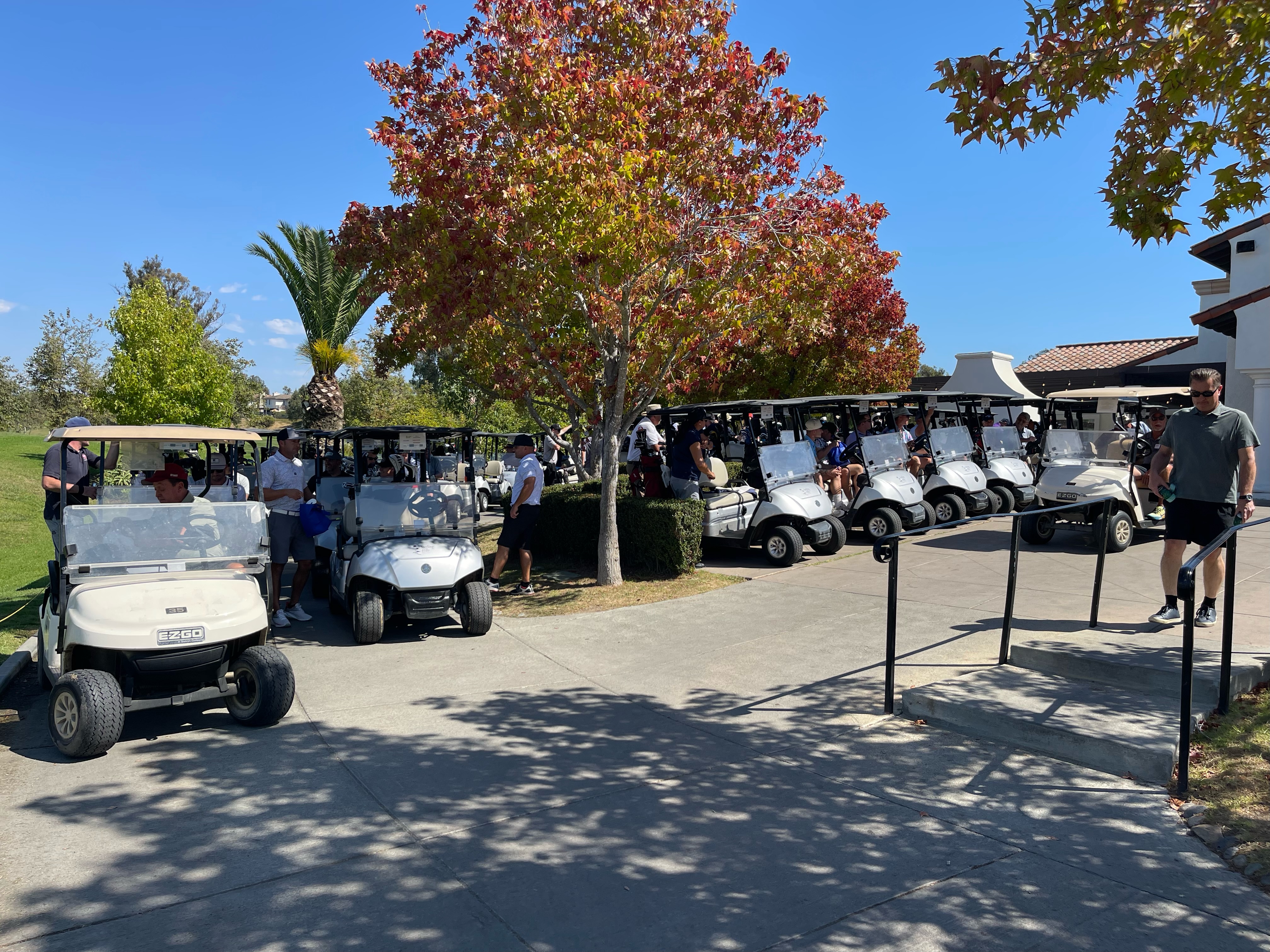 carts2