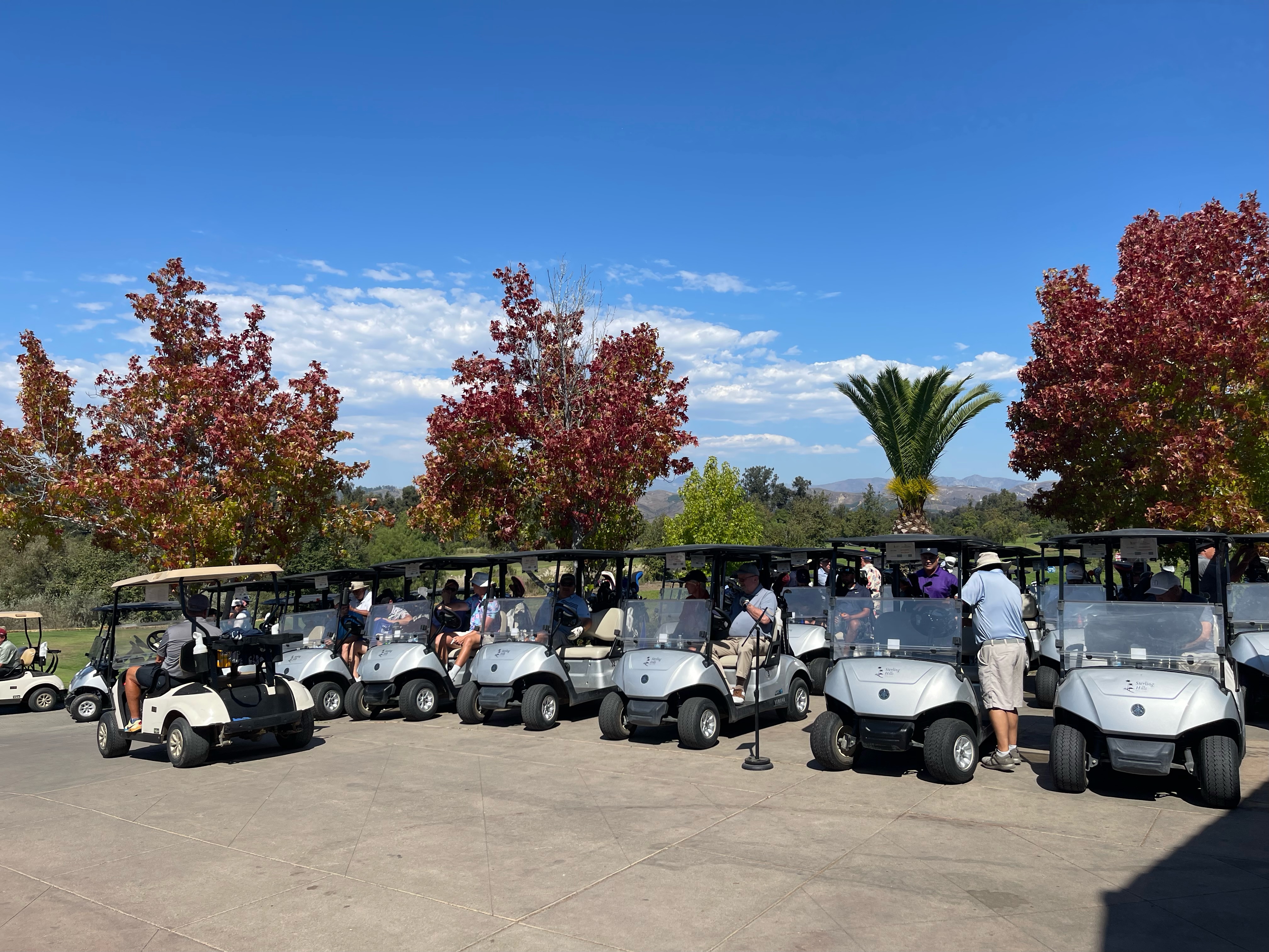 carts3